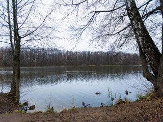 Последний бонус ноября: в Подмосковье температура снова резко уйдет в отрыв