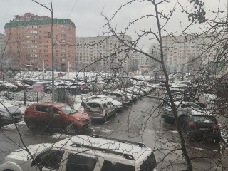 Снег, ледяные дожди и потепление до +9°: к чему готовиться жителям Подмосковья с 24 ноября?