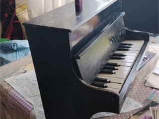 Музыкальный привет из СССР: раритетное детское пианино продают в Солнечногорске