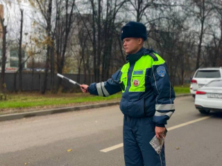 Пьяного водителя поймали автоинспекторы Химок во время рейда в городе