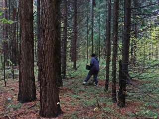 В Одинцовском округе в декабре продолжают находить рядовки