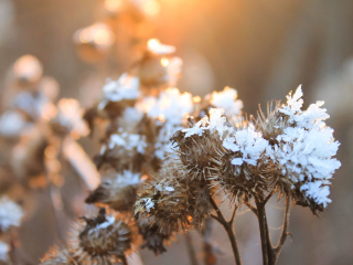 Погодные аномалии ноября 2025: в Подмосковье идут морозы до -5, но ненадолго