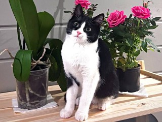 Почему зимой гибнут комнатные цветы: опытный садовод раскрыла главные ошибки хозяек