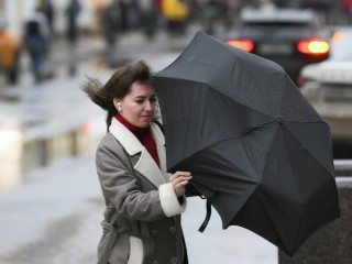 Сносит с ног и ломает ветки деревьев: сильный ветер надвигается на Подмосковье