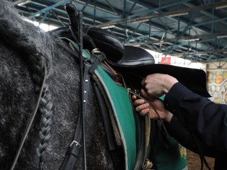 Народный календарь на 5 ноября: чего могли лишиться в этот день ушедшие в гости неженатые парни