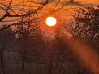 Гороскоп для всех знаков Зодиака на 30 ноября 2025: Овнам, Ракам и Львам следует избегать конфликтов, а у Тельцов, Близнецов и Весов возможна прибыль