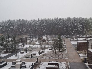 Зима пришла в Москву, но есть нюанс. Когда растает первый снег — ответил синоптик Тишковец