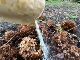 За зиму перегниют и толстые ветки, и ботва: секрет быстрого компоста от садовода из Жуковского