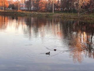 Осень не спешит уходить: какая погода ждет Шатуру в субботу, 29 ноября