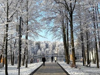 Эколекции, спорт и мастер-классы: что ожидает жителей Электростали в последнюю неделю осени