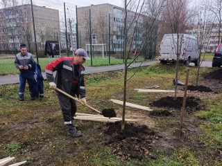Стало известно, какие новые деревья высадили в Егорьевске