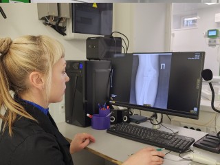 Новый цифровой рентген-аппарат установили в Свердловской поликлинике