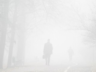 В Лыткарине ожидается туман в ночь на 13 ноября