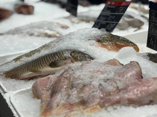 Как не ошибиться с минтаем: эксперт раскрыл правила выбора замороженной рыбы