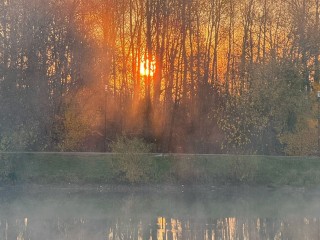 Гороскоп для всех знаков Зодиака на 16 ноября 2025: Овны, Раки и Весы будут «купаться» в славе, а Тельцам, Львам и Девам не стоит «опускать руки»