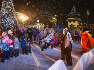 Зима в Домодедове: гид по главным событиям сезона