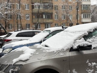 Зима не может определиться: снегопады, дожди и жара до +7 вернутся за пару дней