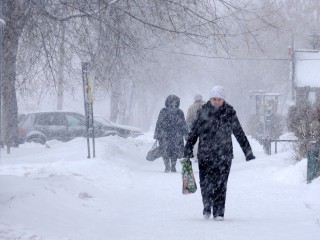 Циклон с севера повернет погоду в сторону зимы и завалит Подмосковье снегом 15 ноября