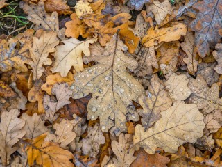 Синоптик Позднякова назвала точную дату возвращения тепла в Подмосковье