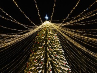 Открытие сезона «Зима в Подмосковье» и зажжение новогодней елки: в Талдом 1 декабря приходит волшебство