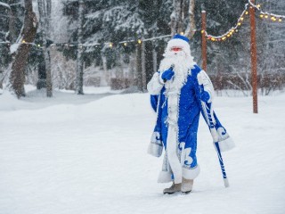 Как в Пушкинском округе поздравить Деда Мороза с днем рождения 18 ноября