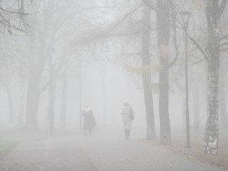 Эти дни станут последними теплыми в этом году в Подмосковье