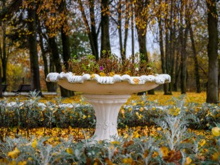 Осень в объективе: жители Истры посоревнуются за вкусные призы за снимки в парках