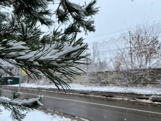 Снег, гололедица, переходы через 0: названы даты резкого изменения погоды в Подмосковье
