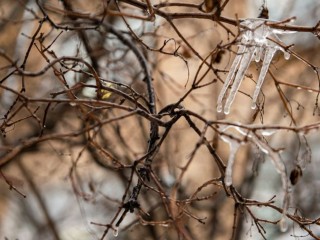 Зимнее шоу с разными осадками: когда в Московском регионе ждать ледяной дождь