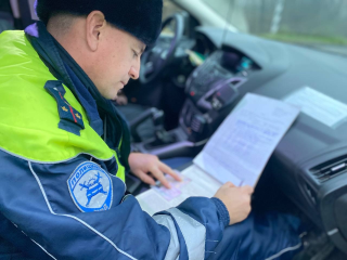 Госавтоинспекторы Павловского Посада выяснили, как родители перевозят детей