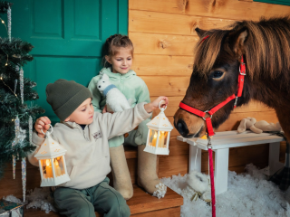 Известный фотограф Ирина Шарова подсказала идеи для новогодней фотосессии к году Лошади