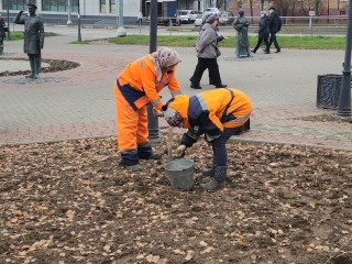 Красные, розовые и белые тюльпаны украсят Серпухов: коммунальщики высаживают 16 тыс. тюльпанов к весне