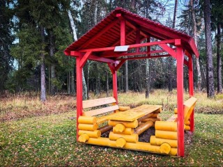 К лесным пожарам готовятся уже с осени: почему отдыхать в лесах Орехово-Зуева станет безопаснее