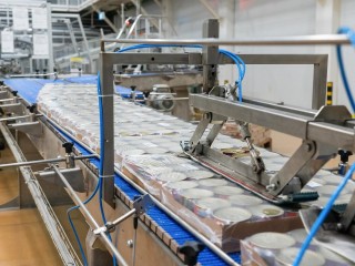 Мяу‑успех и гав‑прогресс: как Подмосковье кормит всю Россию кошачьими и собачьими деликатесами