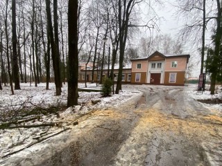 В Майдановском парке спилили нависшее над дорогой аварийное дерево