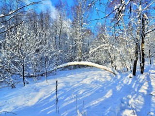 Снежная сказка может стать реальностью! Куда поехать в России за новогодними приключениями и незабываемыми эмоциями