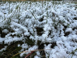 «На 10°C упадет температура в Подмосковье»: в Гидрометцентре предупредили о неожиданном похолодании