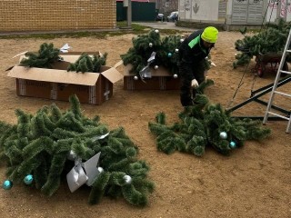 Огоньки праздника: как в Пушкино встретили Новый год раньше всех. Где найти самую первую елку?