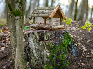 Самый маленький земельный участок в Красногорске продают за 350 тысяч рублей