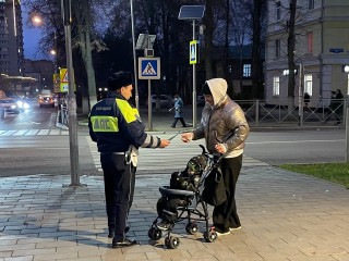 «Засветись в темноте»: Госавтоинспекция провела рейды у пешеходных переходов Ступина