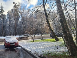 Штраф-подснежник: что сделают с водителем, оставившим авто на газоне зимой