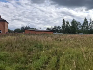 Аукционы в Подмосковье бьют рекорды: как найти участок для дома и не переплатить