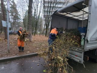 На улице Гагарина убрали скопившиеся сухие ветки между домами 6 и 8