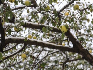 Подмосковье завалит снегом в этот день