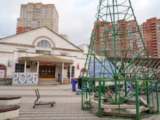 Снега не будет? Синоптик Позднякова рассказала, что ждет Подмосковье в первую неделю зимы