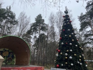 Город в огнях: чем удивит Красногорск жителей на Новый год