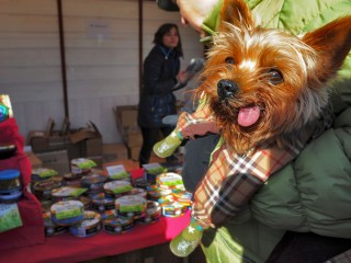 Этой ярмарки краски: где купить самые лучшие продукты к новогоднему столу и подарки близким