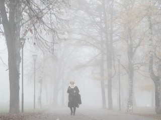 Видимость на нуле: в Подмосковье объявлен «желтый» уровень опасности из-за тумана