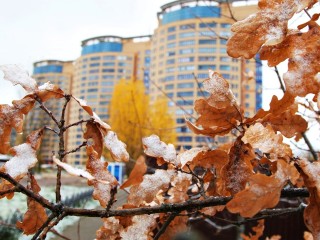 Циклон принесет весеннее тепло в Подмосковье в последний день выходных
