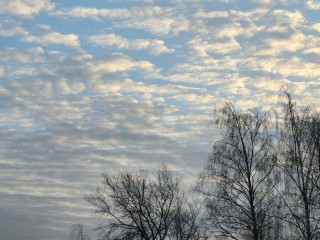 Какой в Подмосковье будет погода в первые три дня декабря
